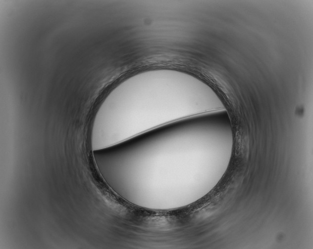 X0000100360404200806060828
