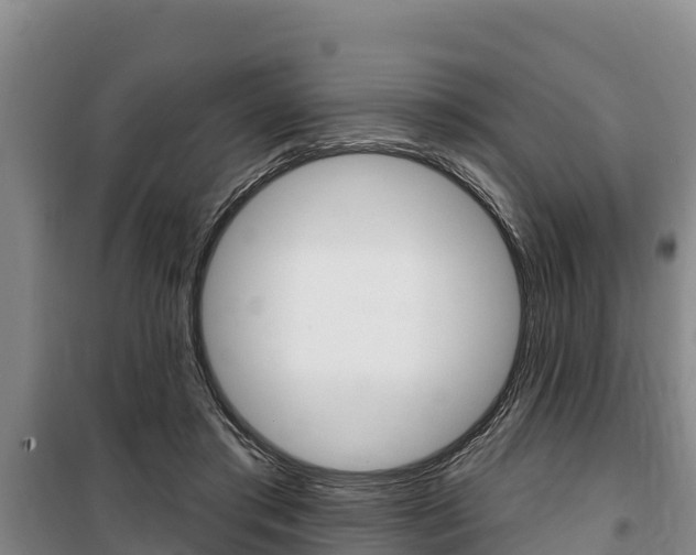 X0000100360405200806060828