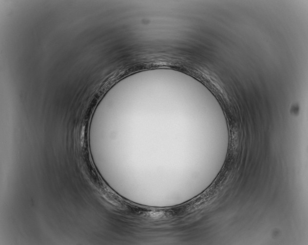 X0000100360406200806060827