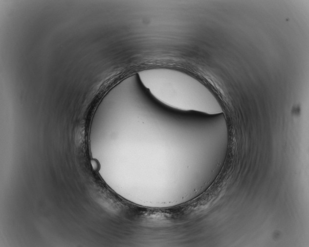 X0000100360407200806060827