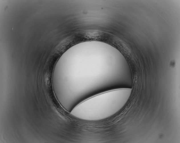 X0000100360408200806060827