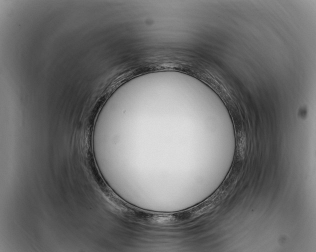 X0000100360410200806060827