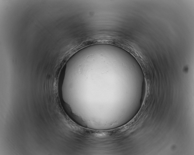 X0000100360411200806060827