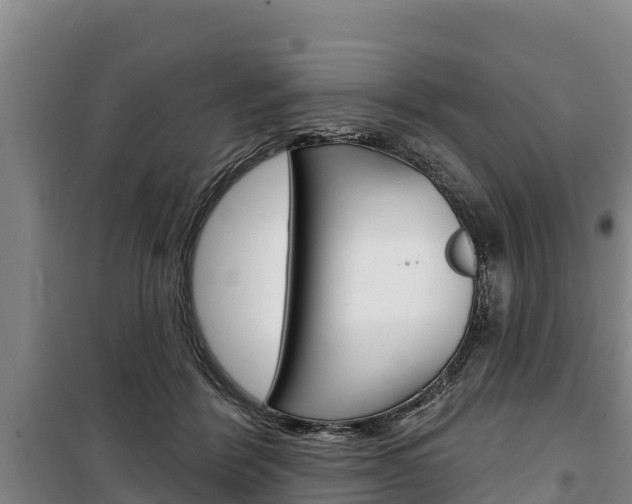 X0000100360412200806060827