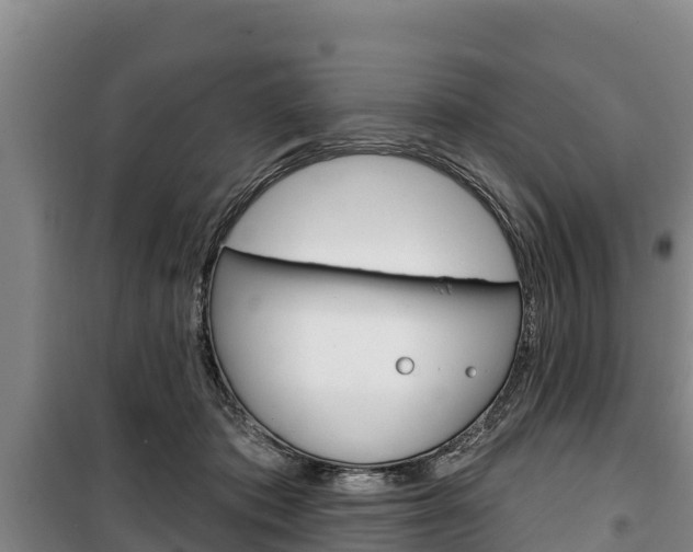X0000100360413200806060827