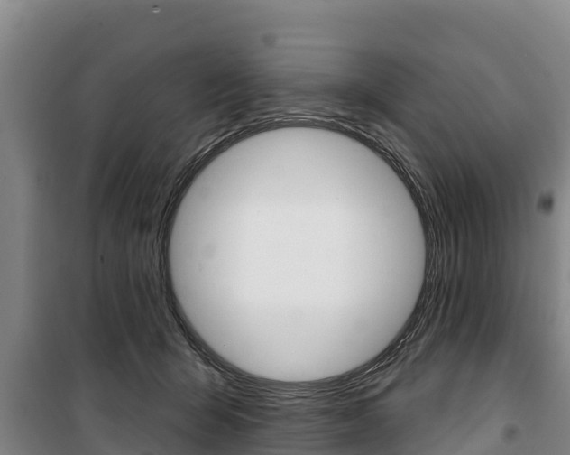 X0000100360415200806060827