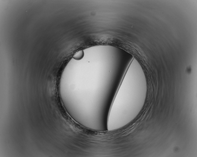 X0000100360416200806060827