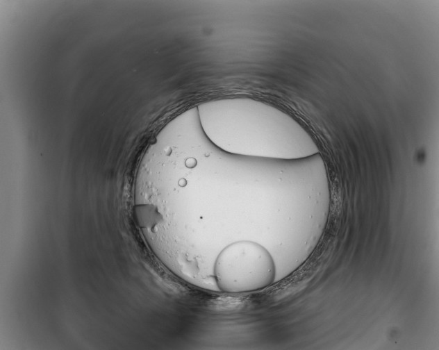 X0000100360418200806060827