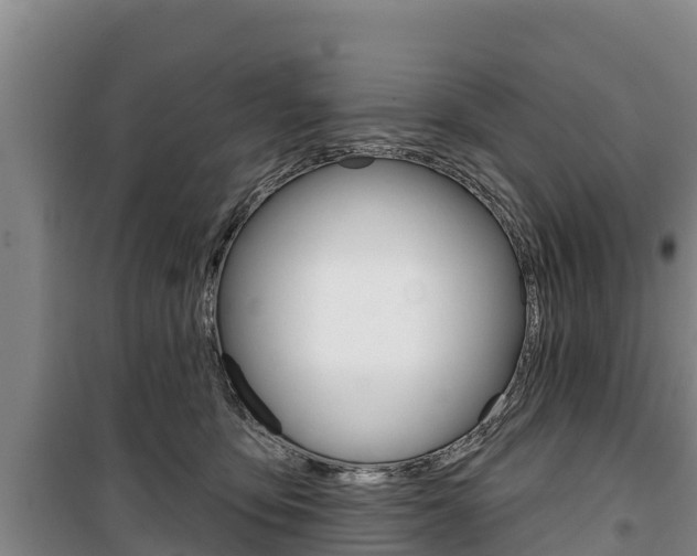 X0000100360419200806060827