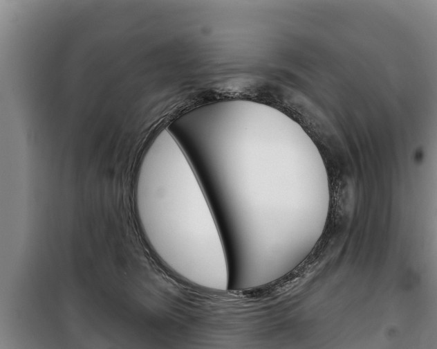 X0000100360420200806060827