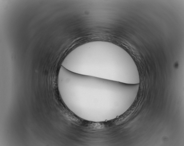 X0000100360421200806060827