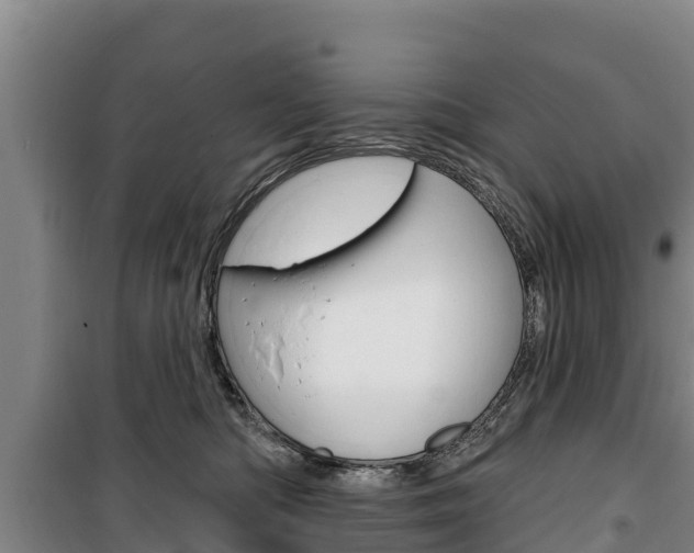 X0000100360422200806060827