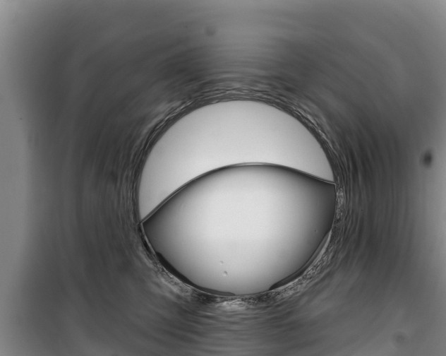 X0000100360423200806060827