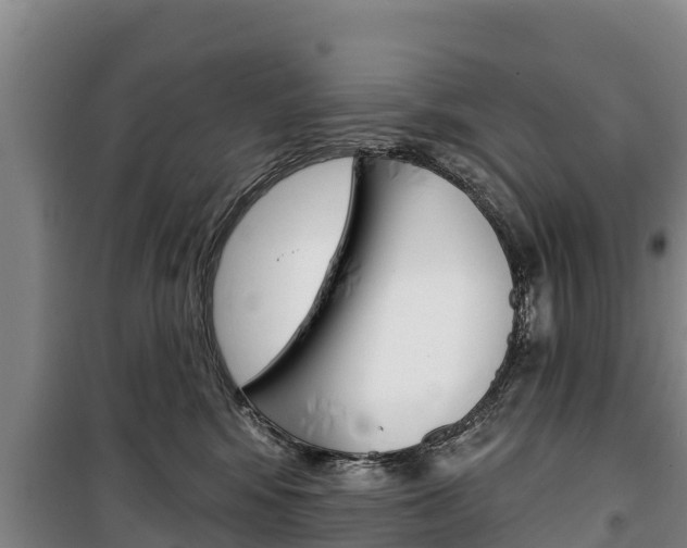 X0000100360424200806060827