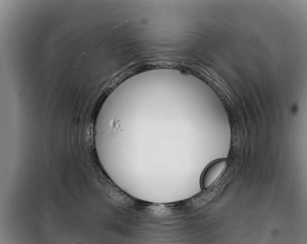 X0000100360425200806060827