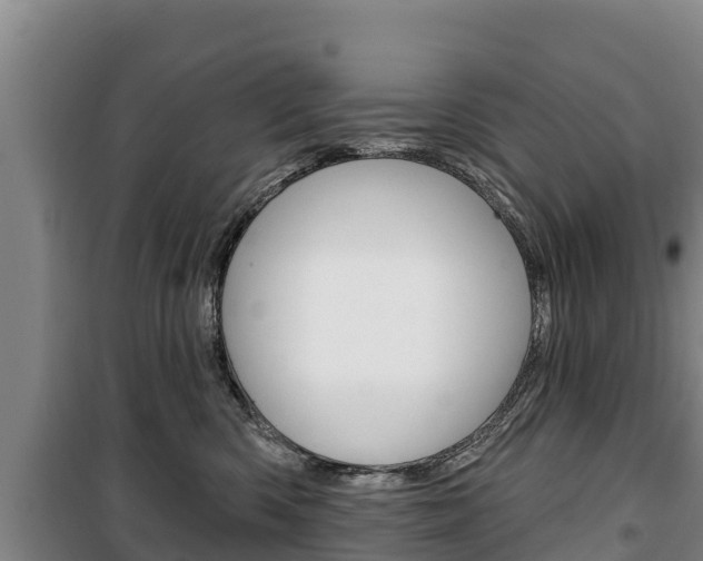 X0000100360426200806060827