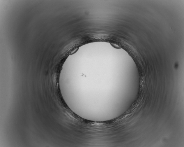 X0000100360428200806060827