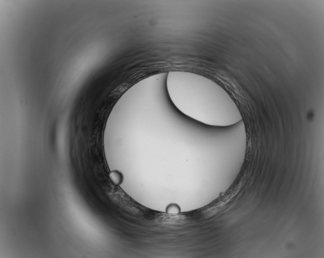 X0000100360429200806060827