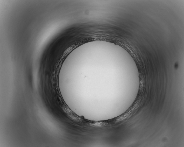 X0000100360430200806060827