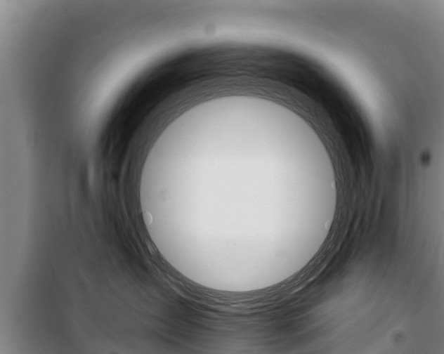 X0000100360431200806060827