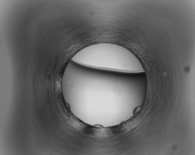 X0000100360432200806060827
