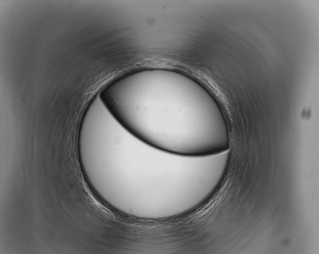 X0000100360433200806060826