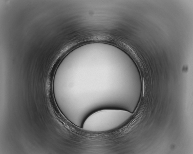 X0000100360435200806060826
