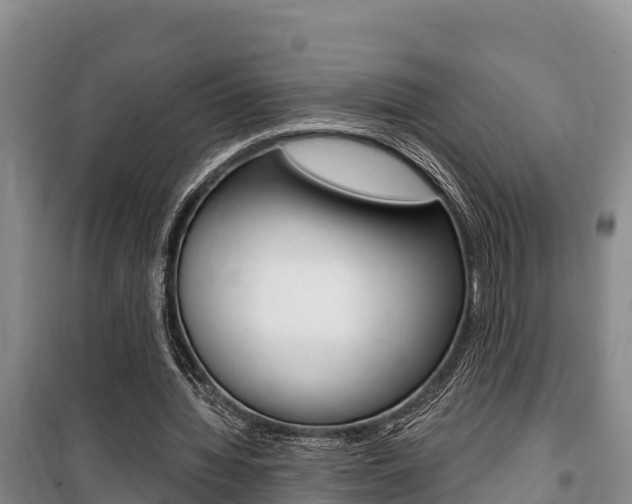 X0000100360436200806060826