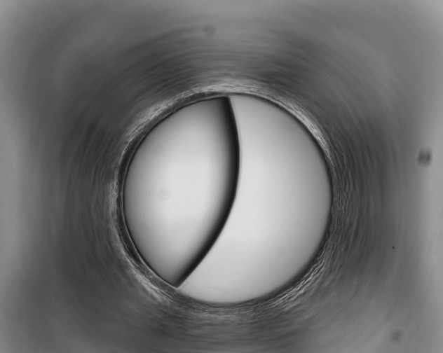 X0000100360437200806060826