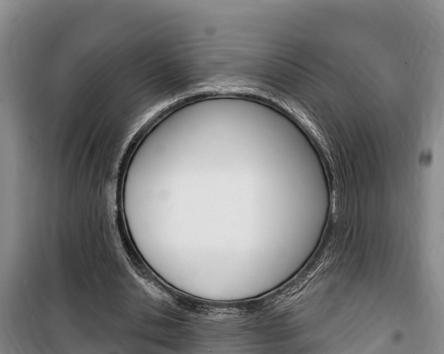 X0000100360438200806060827
