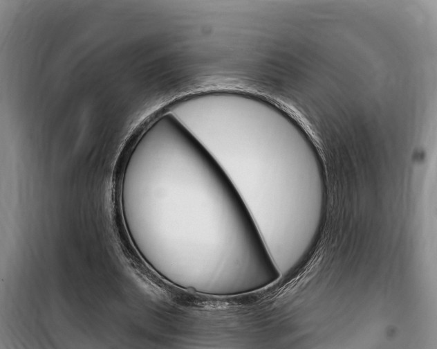 X0000100360439200806060827
