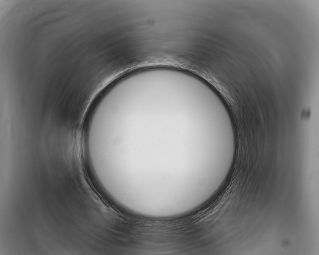 X0000100360440200806060827