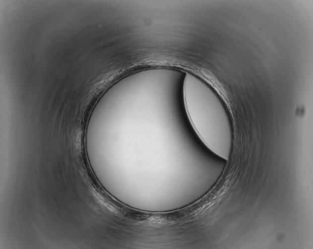 X0000100360441200806060827