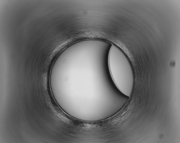 X0000100360442200806060827