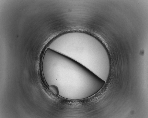X0000100360443200806060827