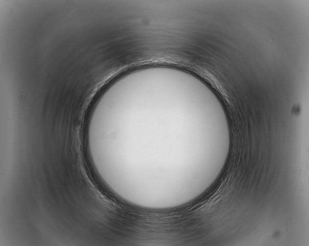 X0000100360444200806060827