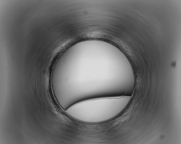 X0000100360446200806060827