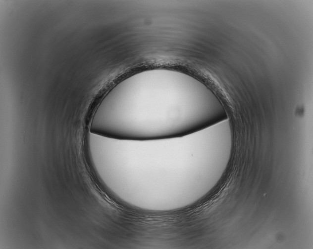 X0000100360447200806060827