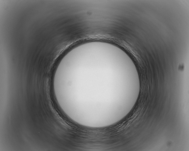 X0000100360448200806060827