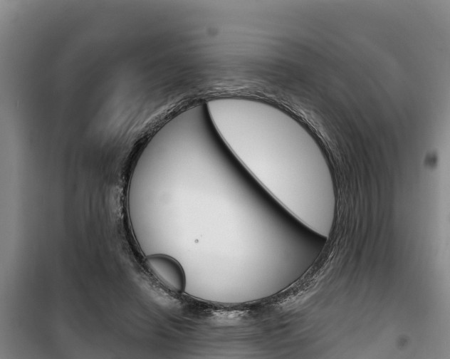 X0000100360450200806060827