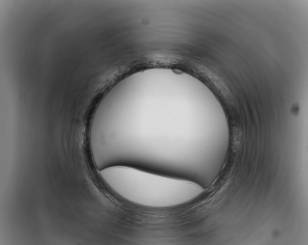 X0000100360451200806060827