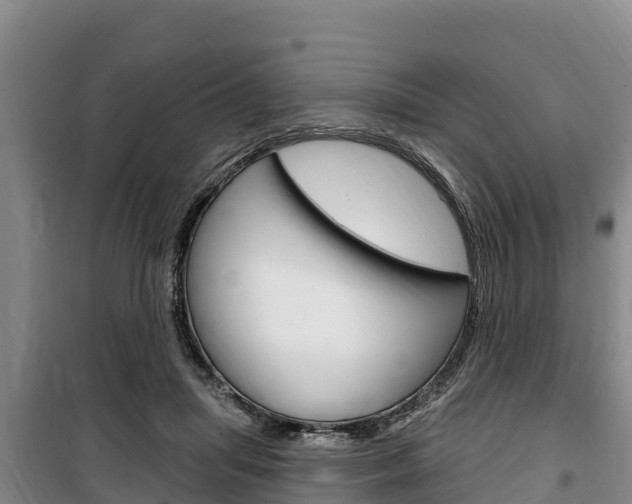X0000100360455200806060827