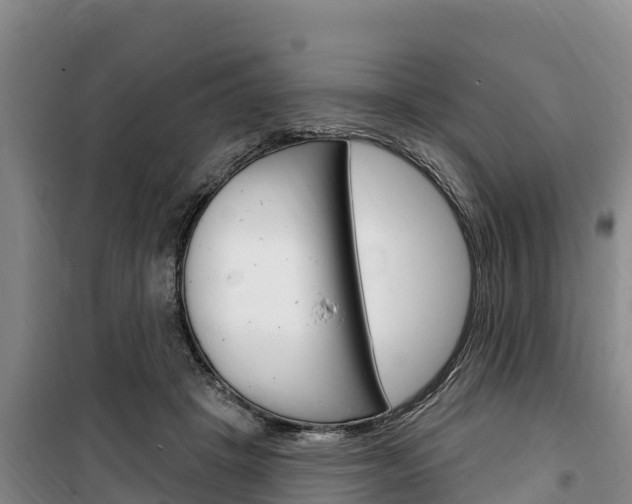 X0000100360457200806060827