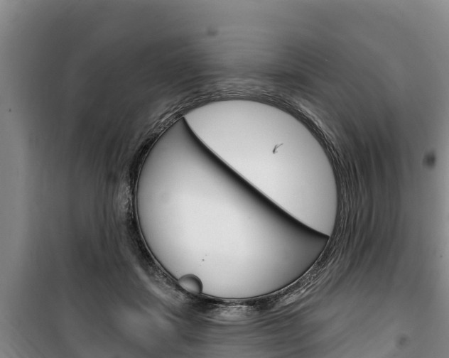 X0000100360459200806060827