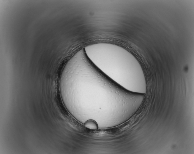 X0000100360460200806060827