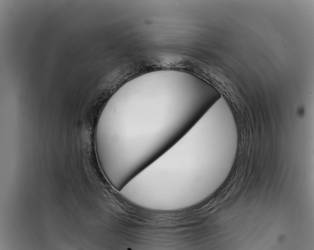 X0000100360461200806060827