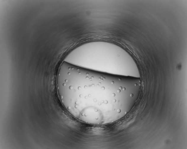 X0000100360462200806060827