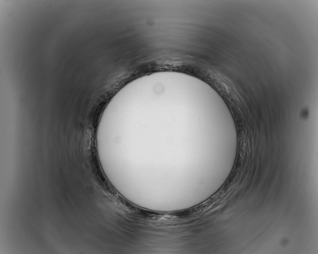 X0000100360463200806060827