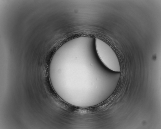 X0000100360464200806060827