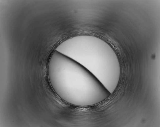 X0000100360465200806060827